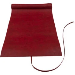 Ultra Pro D&D Dice Scroll Map: Sword Coast -Gamegenic Shop UPR19360 3