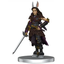 Critical Role Painted Figures: Exandria Unlimited - The Crown Keepers (Preorder) -Gamegenic Shop WZK74286 3