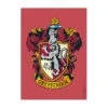 Dragon Shield Sleeves: Brushed - Gryffindor (100)