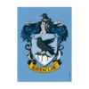 Dragon Shield Sleeves: Brushed - Ravenclaw (100)