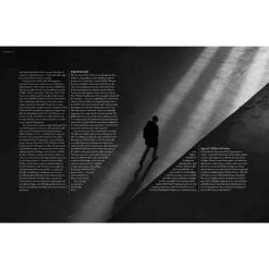 Vampire: The Masquerade 5E RPG - Camarilla Sourcebook (Hardcover) -Gamegenic Shop rgs09384 3