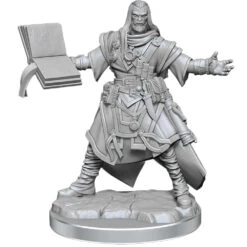 Pathfinder Legendary Cuts: W2 Male Human Wizard -Gamegenic Shop wzk77000 2