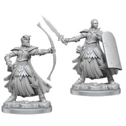 Pathfinder Legendary Cuts: W2 Female Human Champion (Preorder)